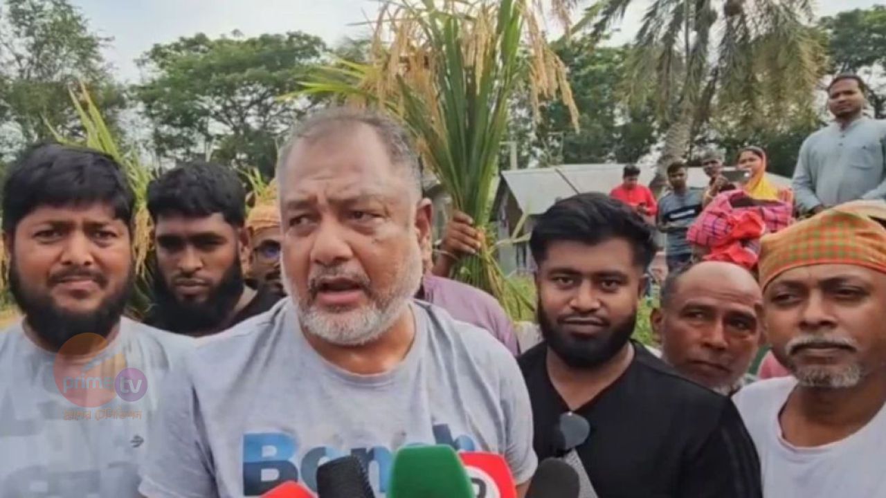 টুংগীপাড়ায় অসহায় নারীর ২ বিঘা জমির ধান কেটে দিলেন এমপি জিলানী
