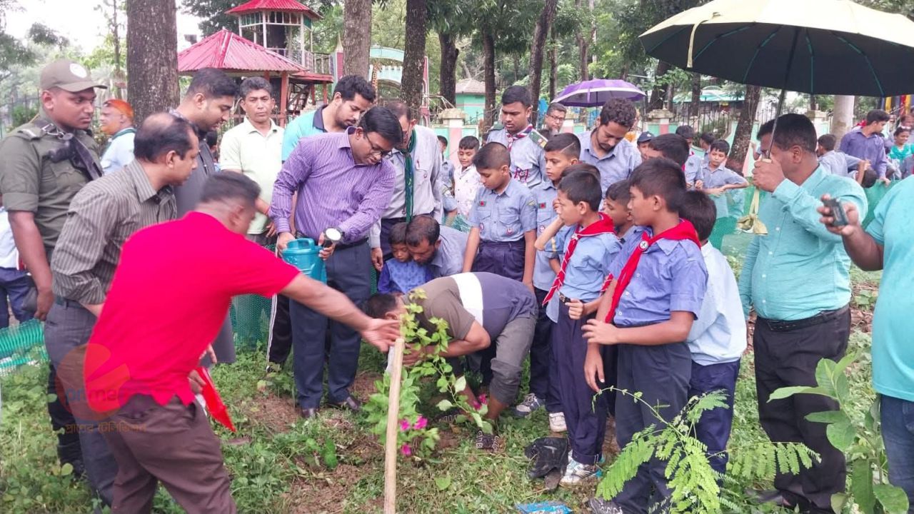 সাতকানিয়ায় বৃক্ষরোপণ কর্মসূচি উদ্বোধন করেন ইউএনও। 