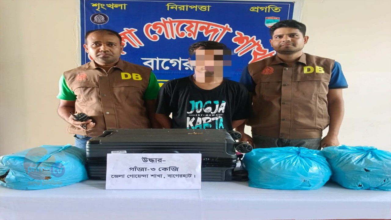 বাগেরহাটে গোয়েন্দা পুলিশ ডিবির অভিযানে তিন কেজি গাঁজা সহ গ্রেফতার এক