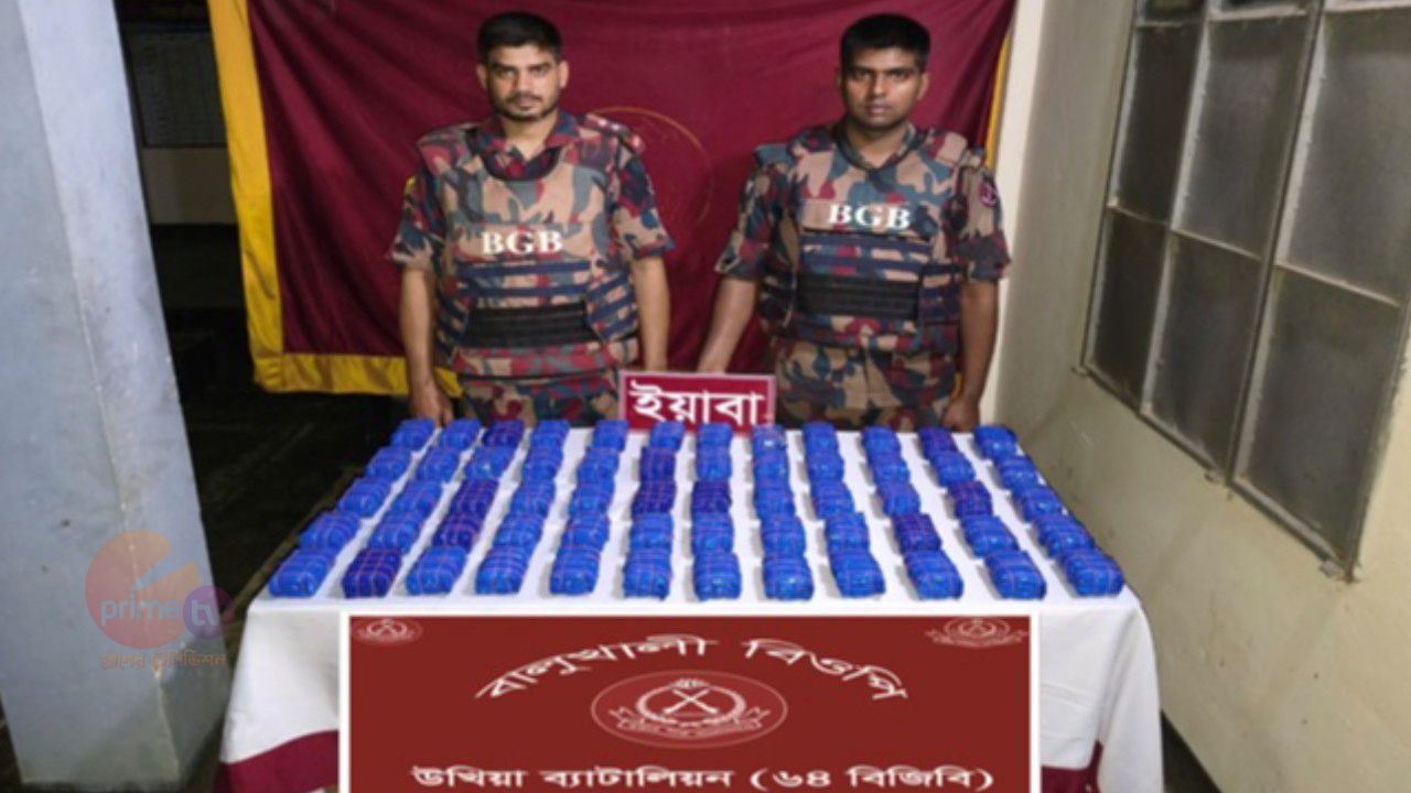 উখিয়ায় ৬৪ বিজিবি’র বিশাল অভিযান: মালিকবিহীন ৬ লাখ ৭২ হাজার পিস ইয়াবা উদ্ধার