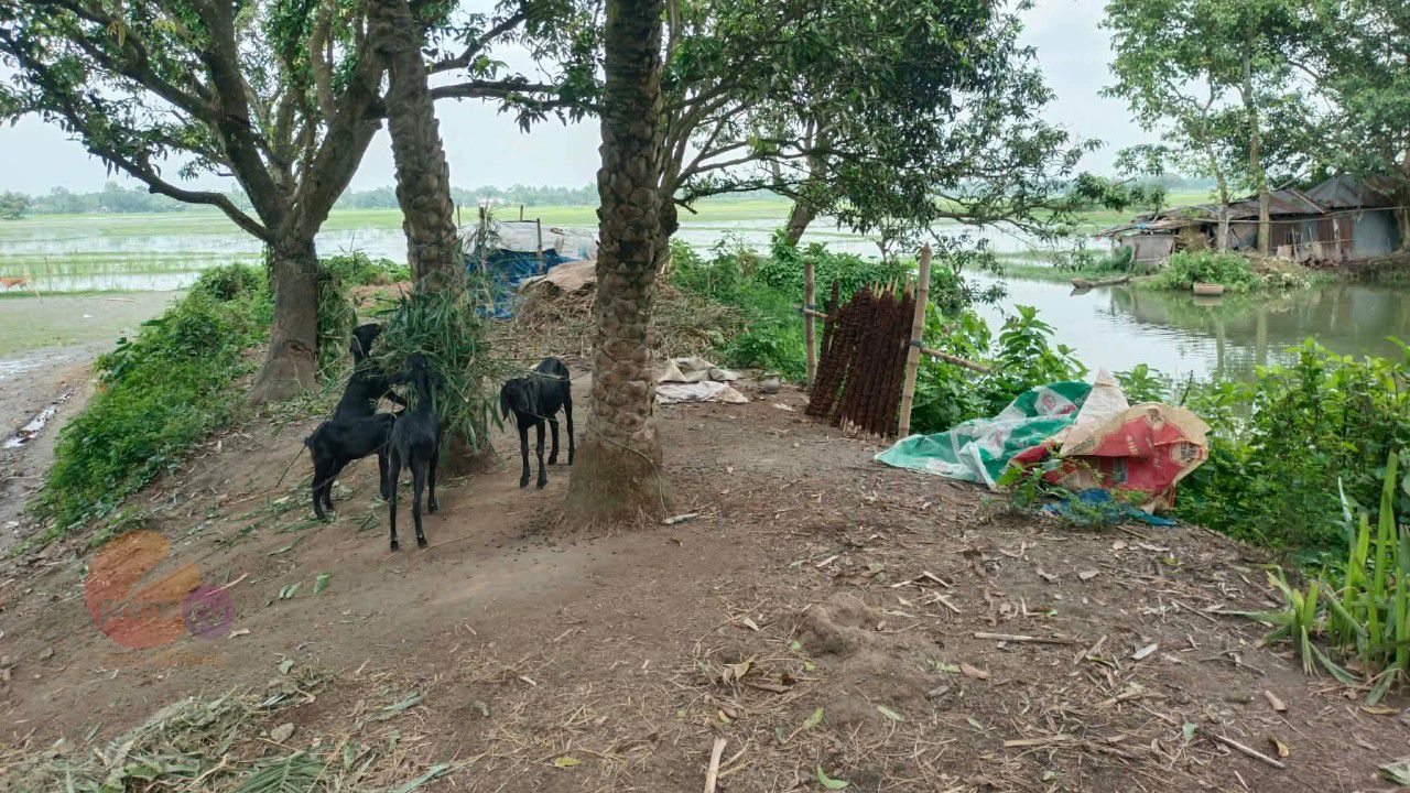 মান্দায় কাজ না করেই কাবিটার টাকা আত্মসাতের অভিযোগ ‘কাজীর গরু কিতাবে আছে, গোয়ালে নেই’