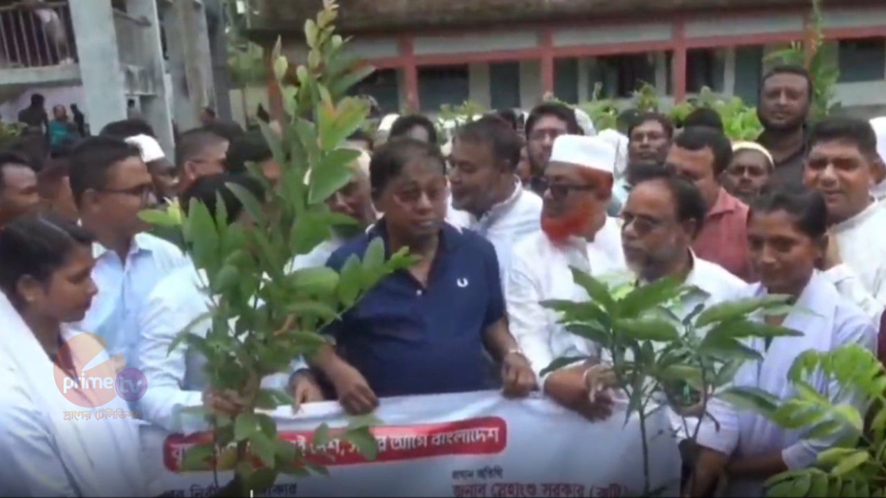 রাঙ্গাবালীতে শিক্ষার্থীদের মাঝে বৃক্ষচারা বিতরণ