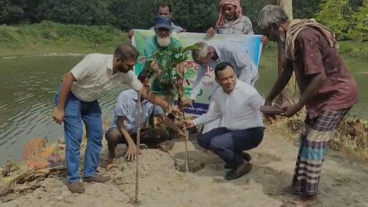 রানীহাটি পাড়দিয়ার গুচ্ছগ্রামে সামাজিক বনায়ন কর্মসূচির আওতায় বৃক্ষরোপণ