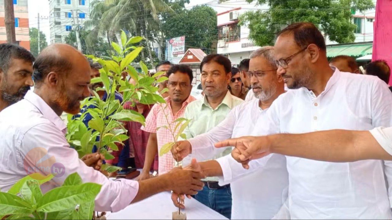 বিএনপির প্রতিষ্ঠাবার্ষিকীতে টাঙ্গাইলে বৃক্ষরোপণ ও চারা বিতরণ