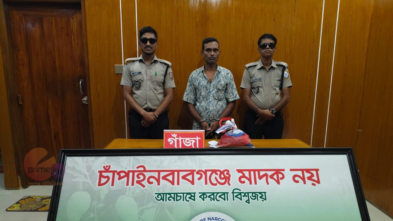 চাঁপাইনবাবগঞ্জে ৩৫০ গ্রাম গাঁজাসহ আটক ১