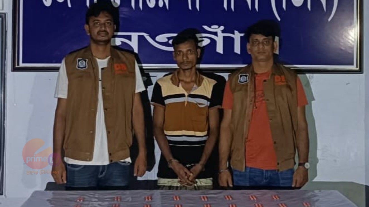 নওগাঁর বদলগাছি ও সাপাহারে ডিবির মাদকবিরোধী অভিযান: ১০ গ্রাম হেরোইন ও ৩৫০ পিস ট্যাপেন্টাডলসহ গ্রেপ্তার ২