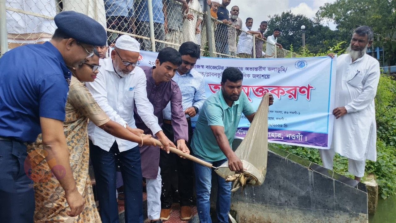 সাপাহারে প্রাতিষ্ঠানিক জলাশয়ে মাছের পোনা অবমুক্ত