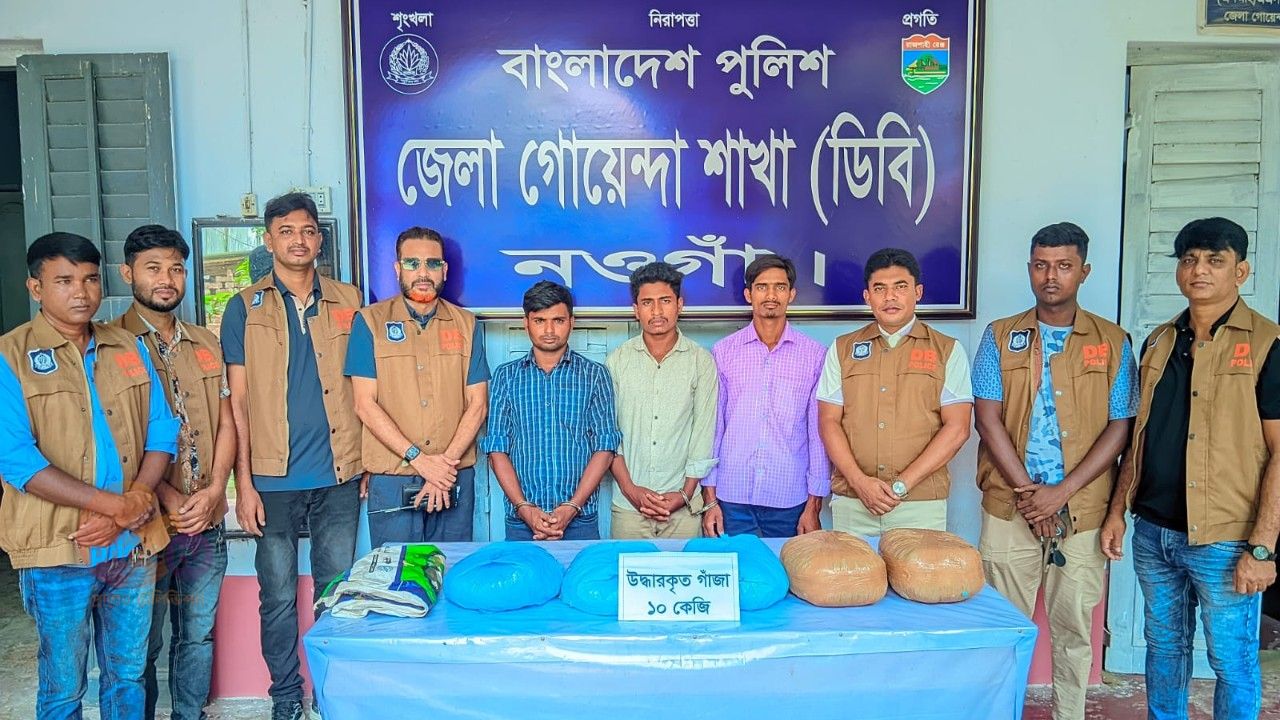 পোরশায় ডিবির অভিযানে ১০ কেজি গাঁজাসহ তিন মাদক কারবারি গ্রেপ্তার