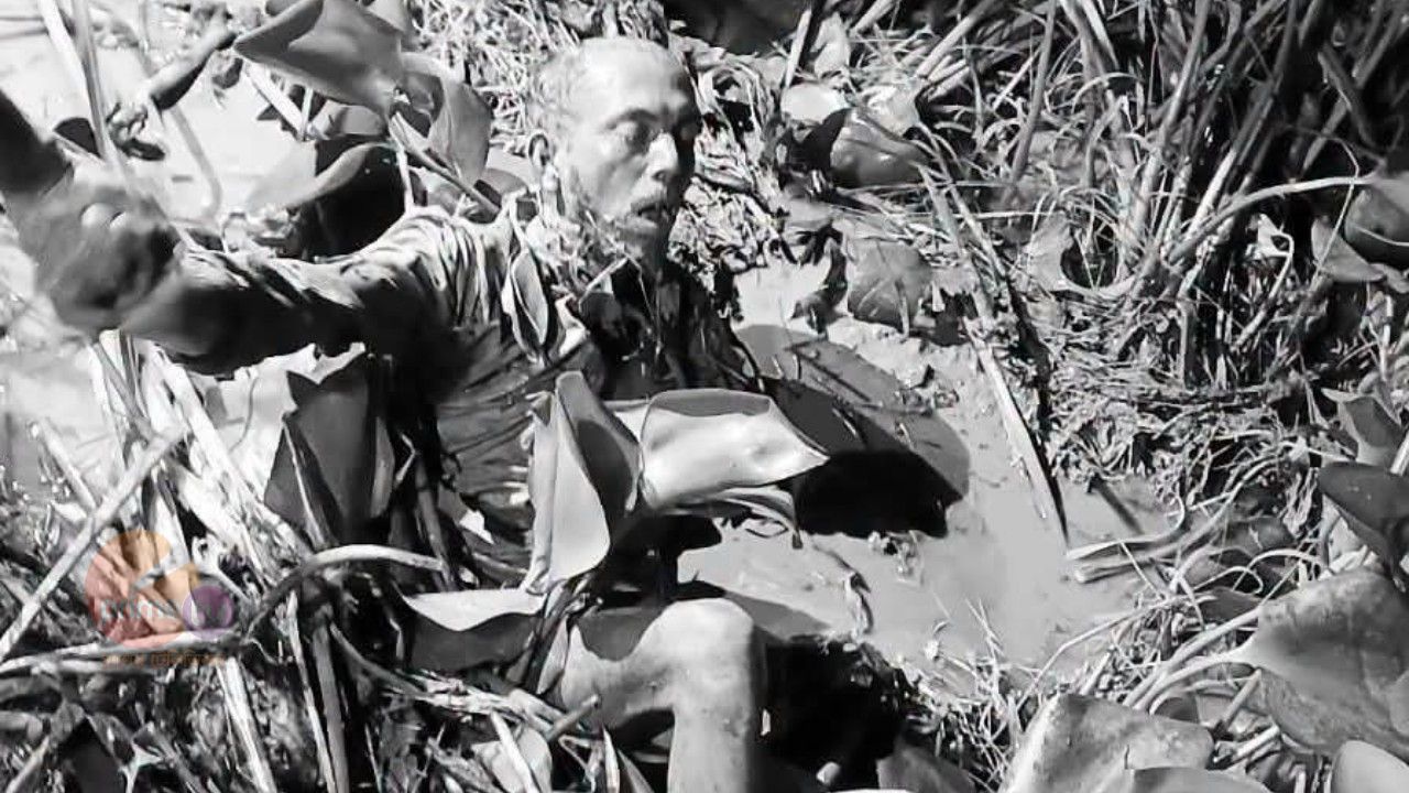বগুড়ার কাহালুতে কচুরিপানার ভেতর অজ্ঞাত ব্যক্তির মরদেহ উদ্ধার