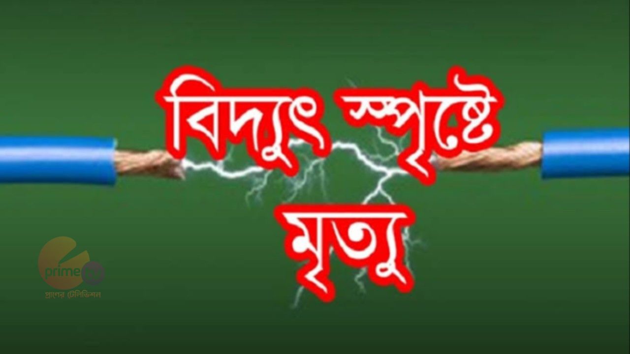 মাদারীপুরে ঘরের কাজ করার সময় বিদ্যুৎস্পৃষ্টে গৃহবধূর মর্মান্তিক মৃত্যু
