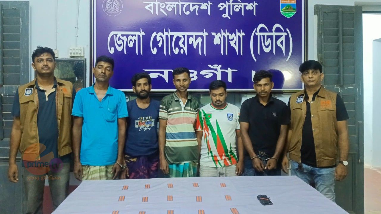 নিয়ামতপুরে ডিবি পুলিশের পৃথক অভিযানে ট্যাপেন্টাডলসহ ৫ জন গ্রেপ্তার