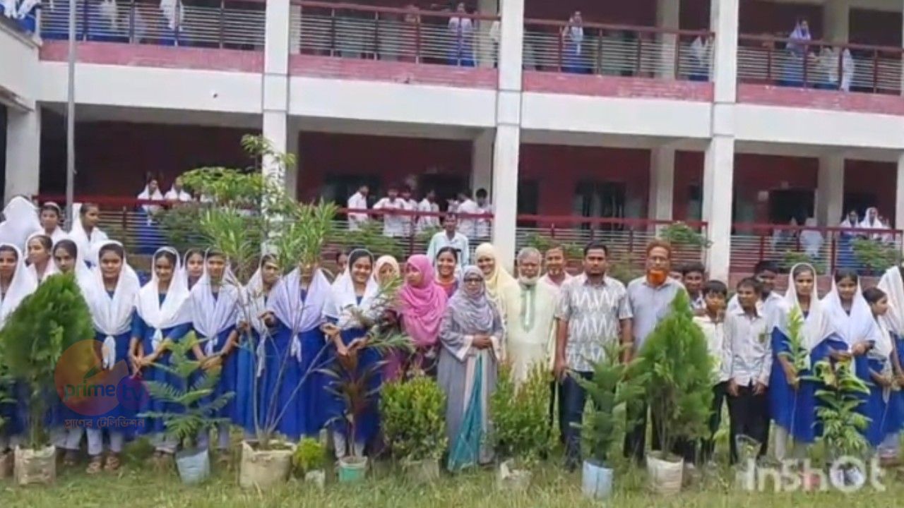 রায়পুরার বালুয়াকান্দি উচ্চ বিদ্যালয়ে সভাপতির উদ্যোগে বৃক্ষরোপণ কর্মসূচি