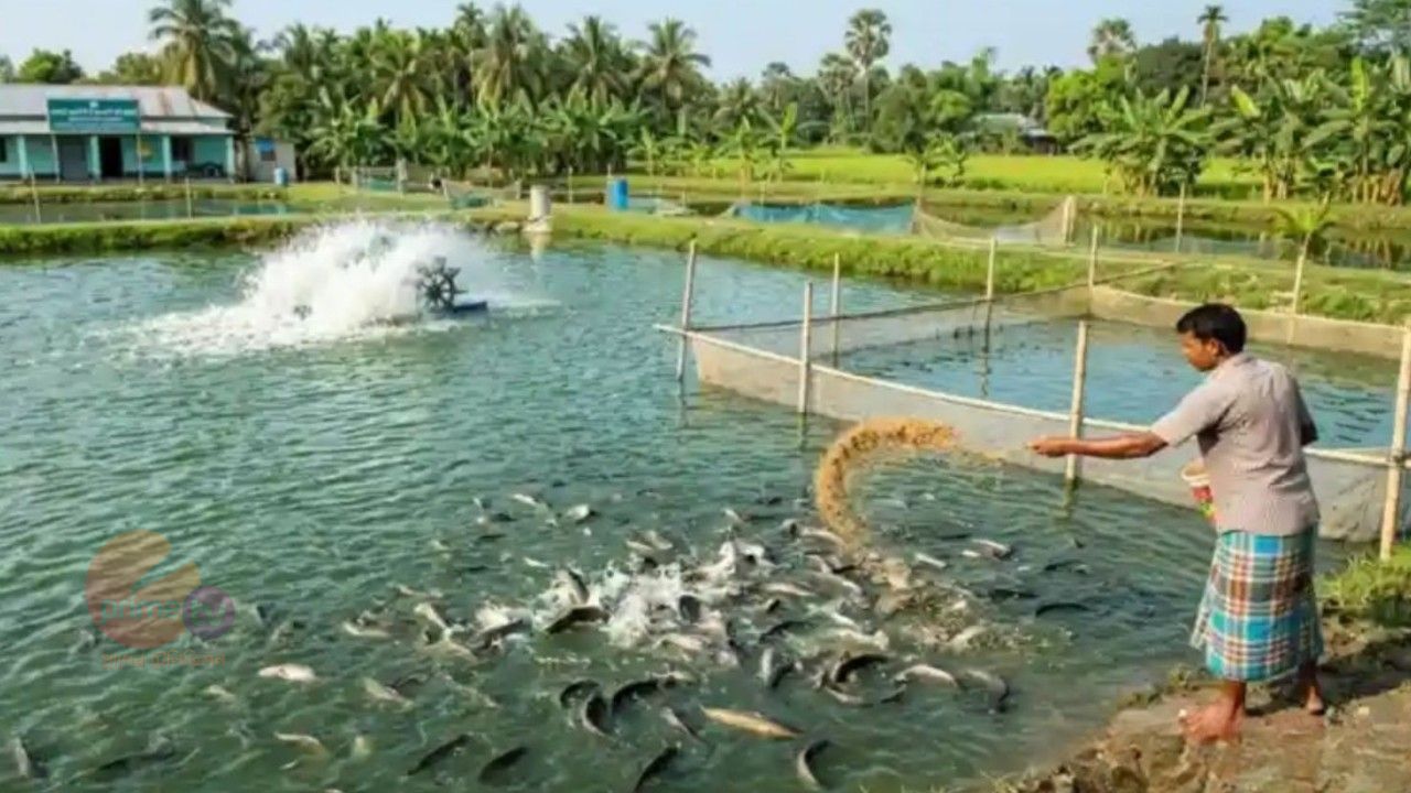 ২৯টি বাঁওড়ের উন্নয়নে ৪৭ কোটি টাকার প্রকল্প, সমৃদ্ধ হবে জেলেদের জীবিকা