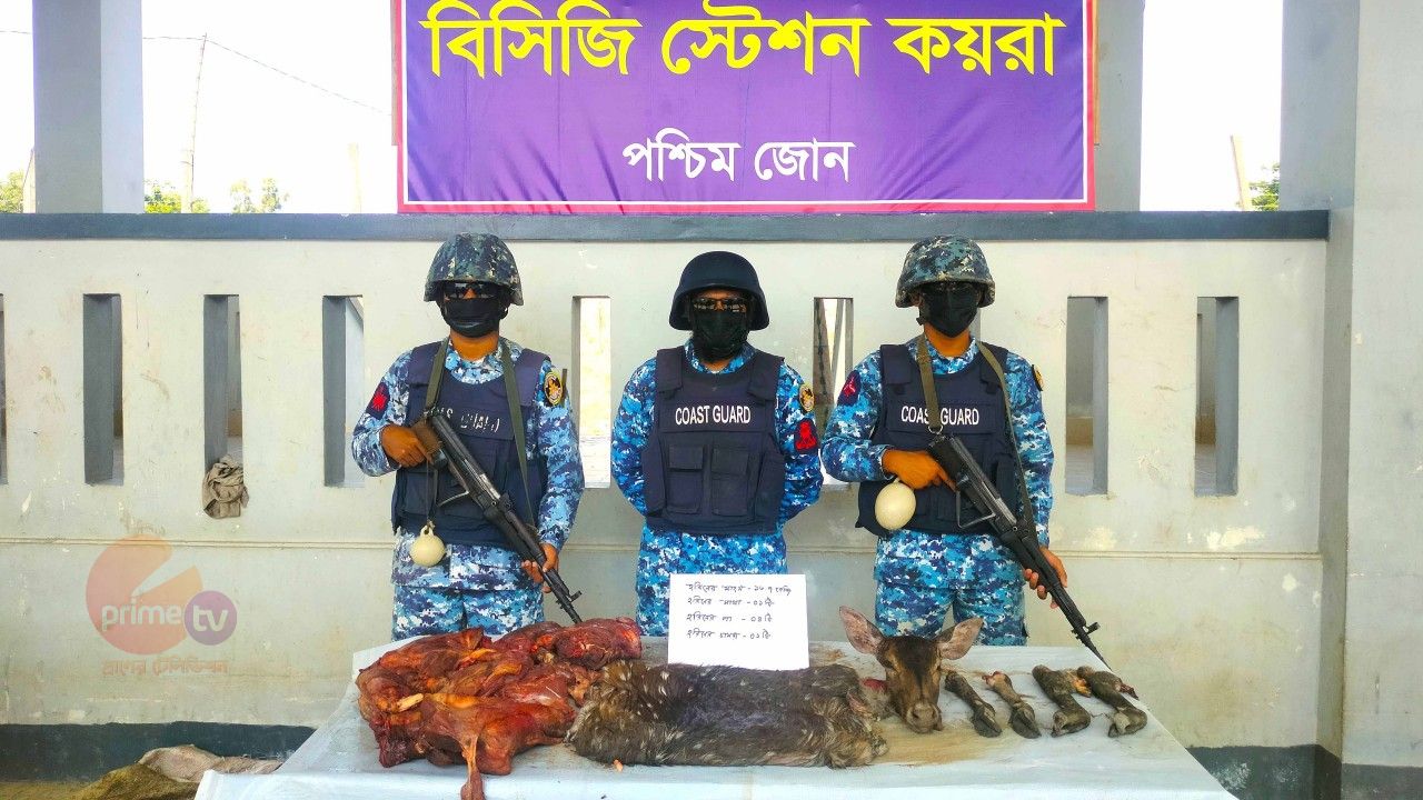 সুন্দরবনের গোলখালীতে কোস্ট গার্ডের অভিযানে হরিণের মাংস, মাথা পা সহ চামড়া জব্দ।