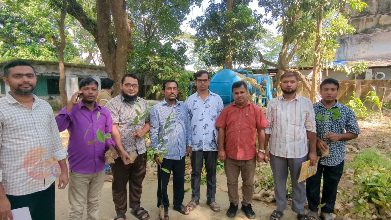সাতকানিয়ায় স্কুল-কলেজে ফলজ গাছের চারা বিতরণ