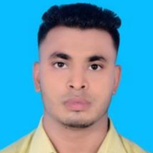 মোঃ শাহিন